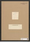 Diatomeae indet. Zeichnungen Sammlung Grunow Nr. 6073 (NHMW-BOT-W0374590)